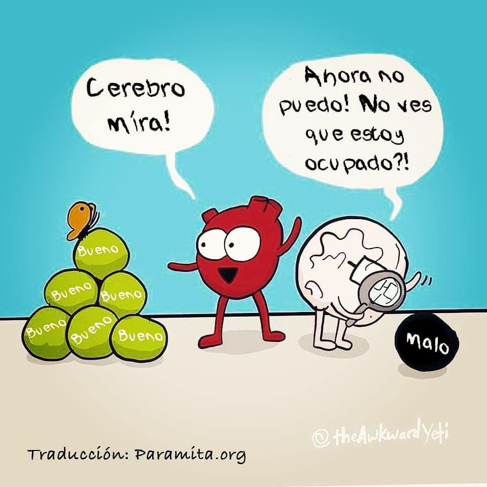 47248496_103828903931981_4529209300066935090_n