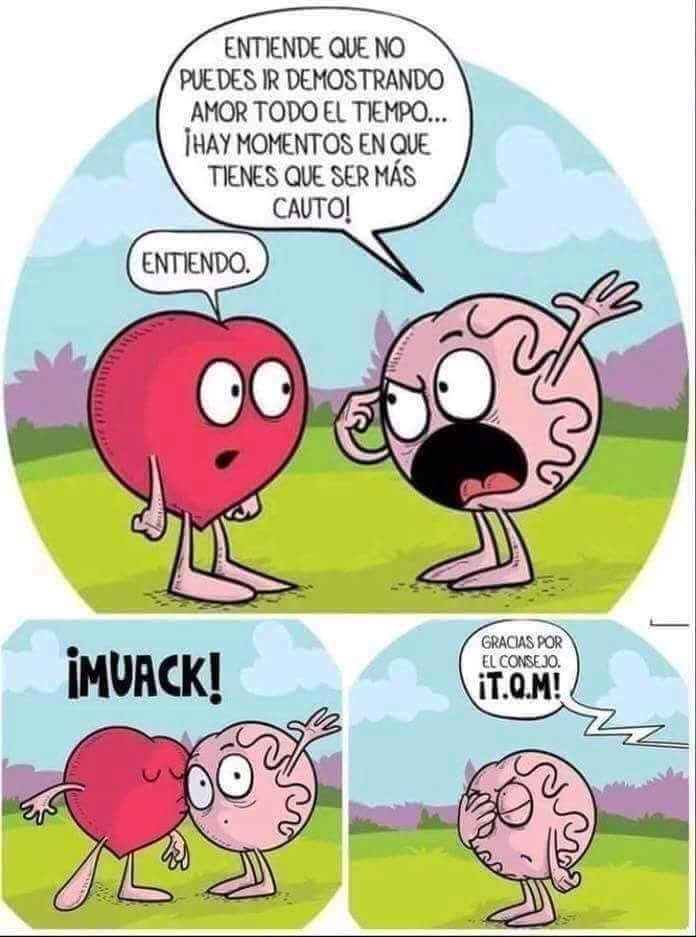 WhatsApp Image 2018-12-09 at 06.57.14