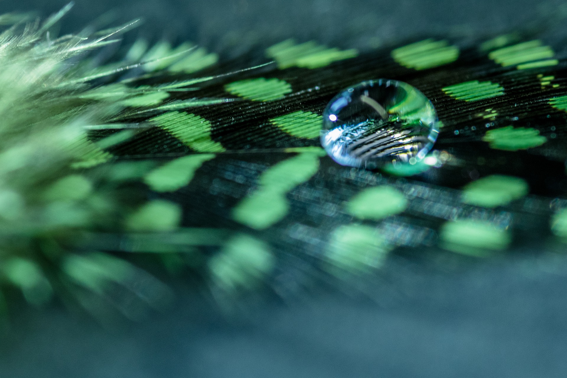 water-drop-4579445_1920